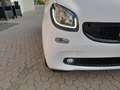 smart forTwo Fortwo 1.0 Prime 71cv my19 Bianco - thumbnail 3