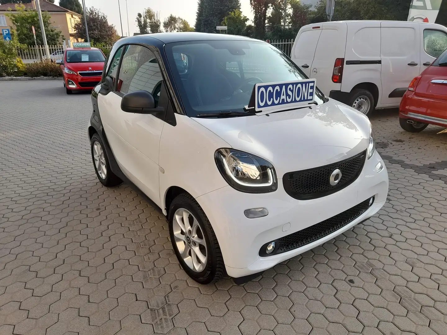 smart forTwo Fortwo 1.0 Prime 71cv my19 Bianco - 2