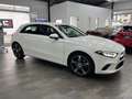 Mercedes-Benz A 250 4Matic Progressive AHK, LED, Premium Paket Weiß - thumbnail 11