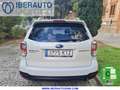Subaru Forester 2.0i Executive CVT Blanc - thumbnail 5