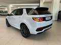 Land Rover Discovery Sport 2.0 TD4 163 CV AWD Auto R-Dynamic SE *IVA ESPOSTA* Blanc - thumbnail 11