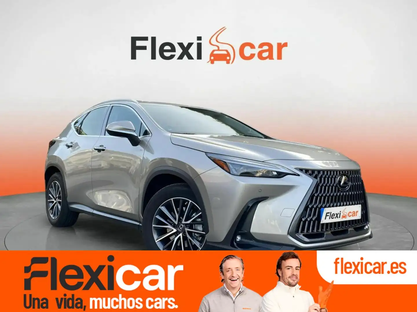 Lexus NX 350h Luxury 4WD Szürke - 1