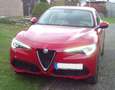 Alfa Romeo Stelvio Stelvio 2.0 Turbo 16V Q4 Lusso Rot - thumbnail 3