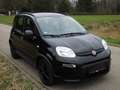 Fiat Panda Panda/Pandina My21 1.0 GSE Hybrid City Live HU neu Schwarz - thumbnail 8