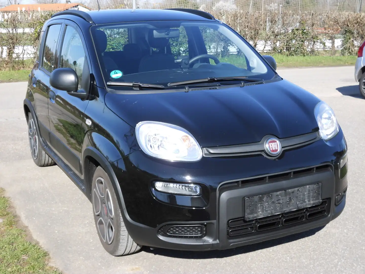 Fiat Panda Panda/Pandina My21 1.0 GSE Hybrid City Live HU neu Schwarz - 1