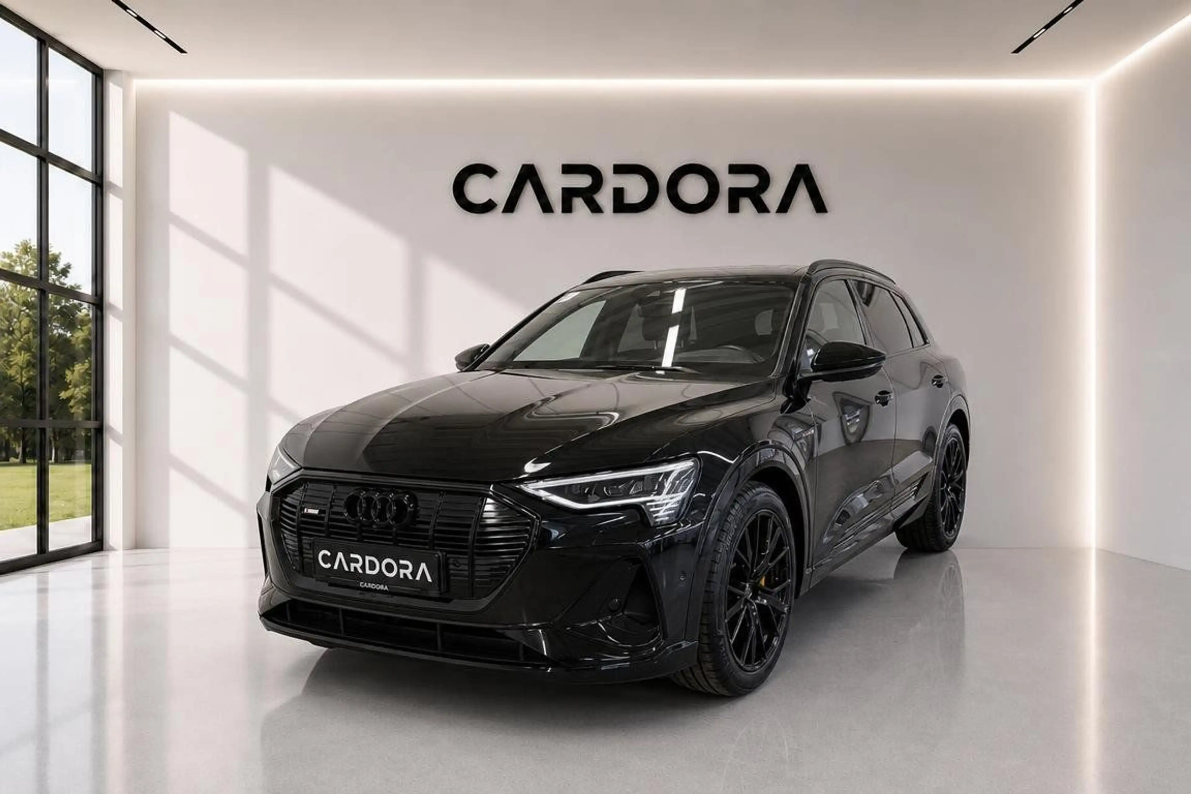 Audi e-tron 55 quattro S line Black Edition MATRIX*LUFT*SKY*L