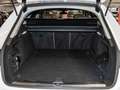 Audi A4 allroad A4 allroad quattro 40 TDI Matrix Navi ACC AHK Weiß - thumbnail 7