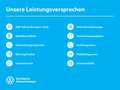 Volkswagen T7 Multivan T1.4 Multivan TSI eHybrid AHK ACC Side Grau - thumbnail 9