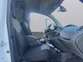 Renault Kangoo B.DCi 95 CV N1 (L1H1)SENSORI-CRUISE-6MARCE-E6D- Blanc - thumbnail 14