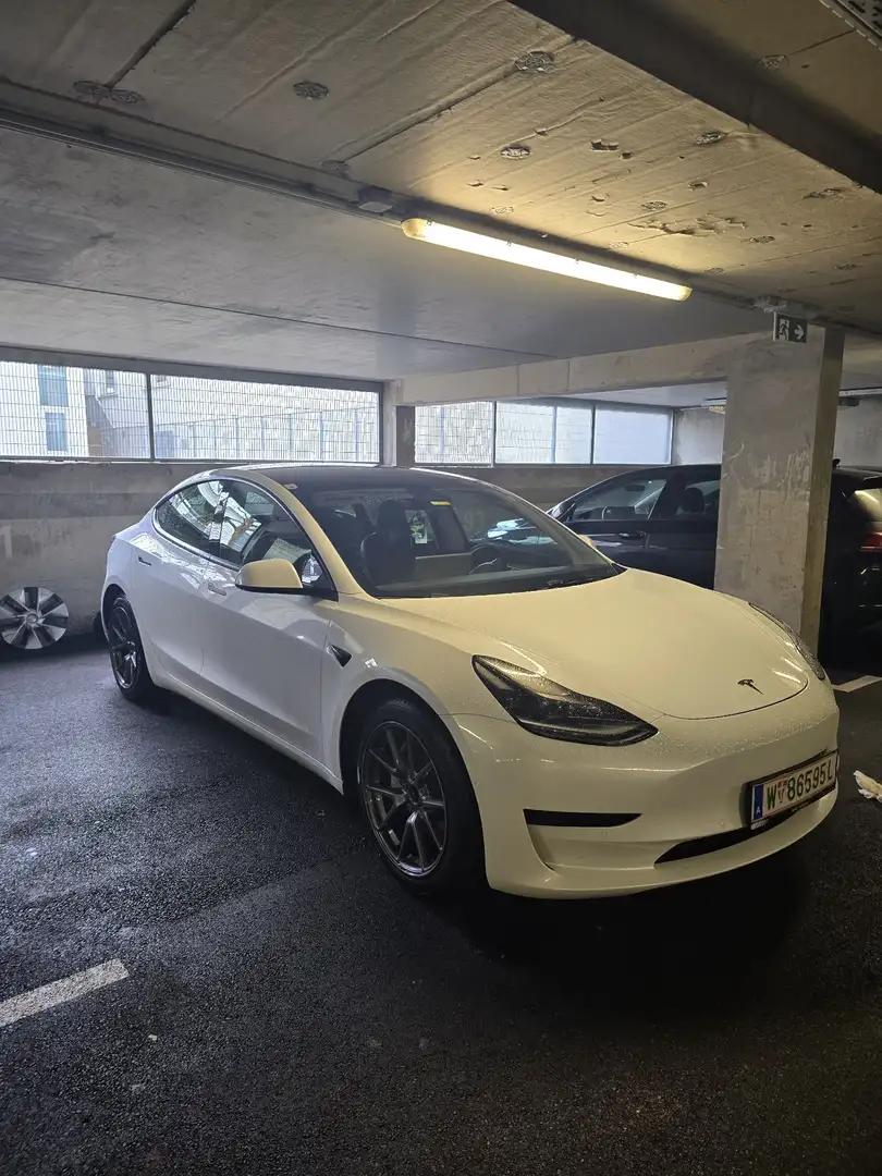 Tesla Model 3 Standard Range RWD Plus 57,5kWh - 2