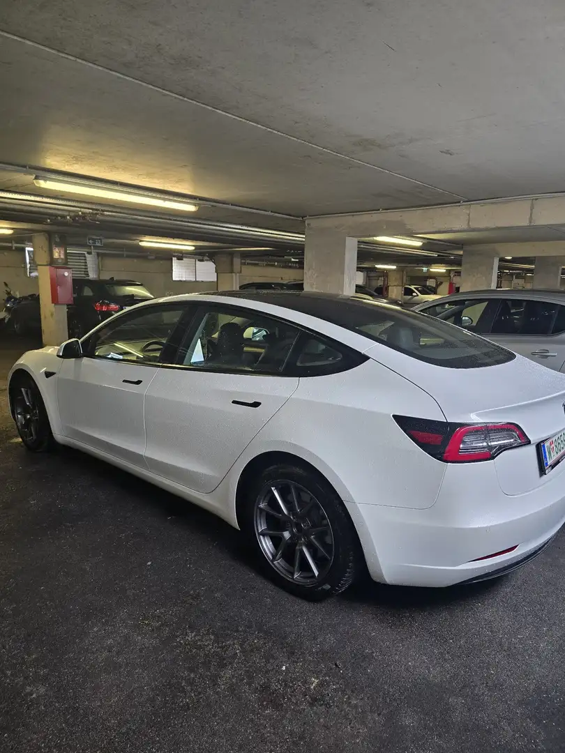 Tesla Model 3 Standard Range RWD Plus 57,5kWh - 1