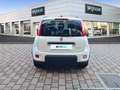 Fiat Panda MY21 1.0 70CV HYBRID CITY LIFE Blanc - thumbnail 5