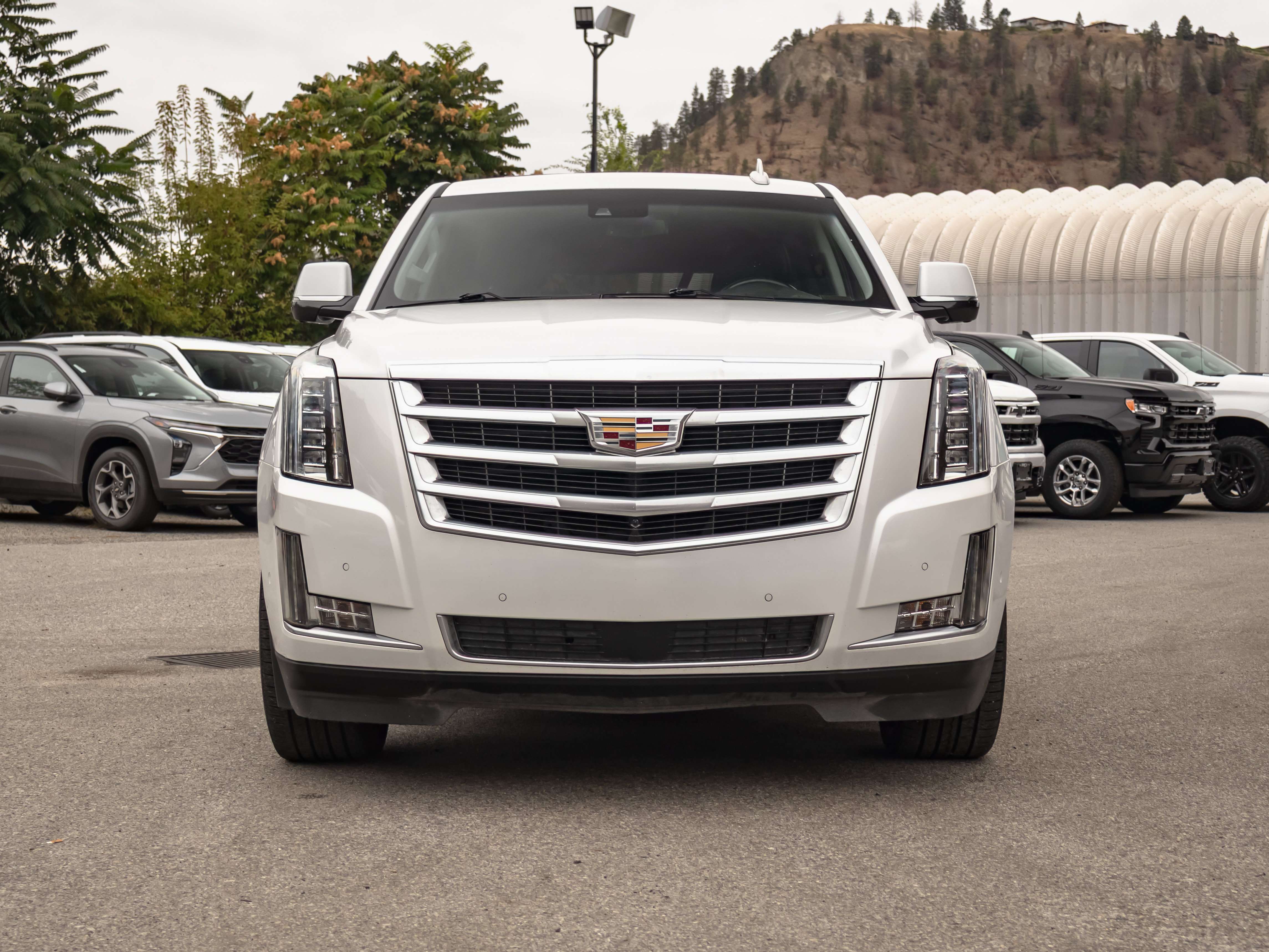2017 Cadillac Escalade