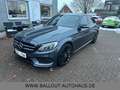 Mercedes-Benz C 250 BlueTec*AMG-PAKET*GSD*TEMPO*NAVI*LED*EURO6 siva - thumbnail 2