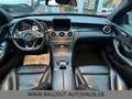 Mercedes-Benz C 250 BlueTec*AMG-PAKET*GSD*TEMPO*NAVI*LED*EURO6 Gris - thumbnail 29