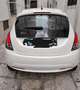 Lancia Ypsilon 1.2 Platinum 69cv my16 - thumbnail 3