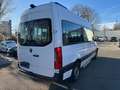 Mercedes-Benz 315 Sprinter CDI Mobilitätsfahr. Rollstuhlrampe Blanc - thumbnail 6