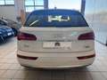 Audi Q5 2.0 TDI 190 CV quattro S tronic Business Sport Blanc - thumbnail 6