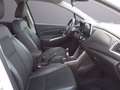 Suzuki S-Cross 1.4 Hybrid Top+ GPL Bianco - thumbnail 12