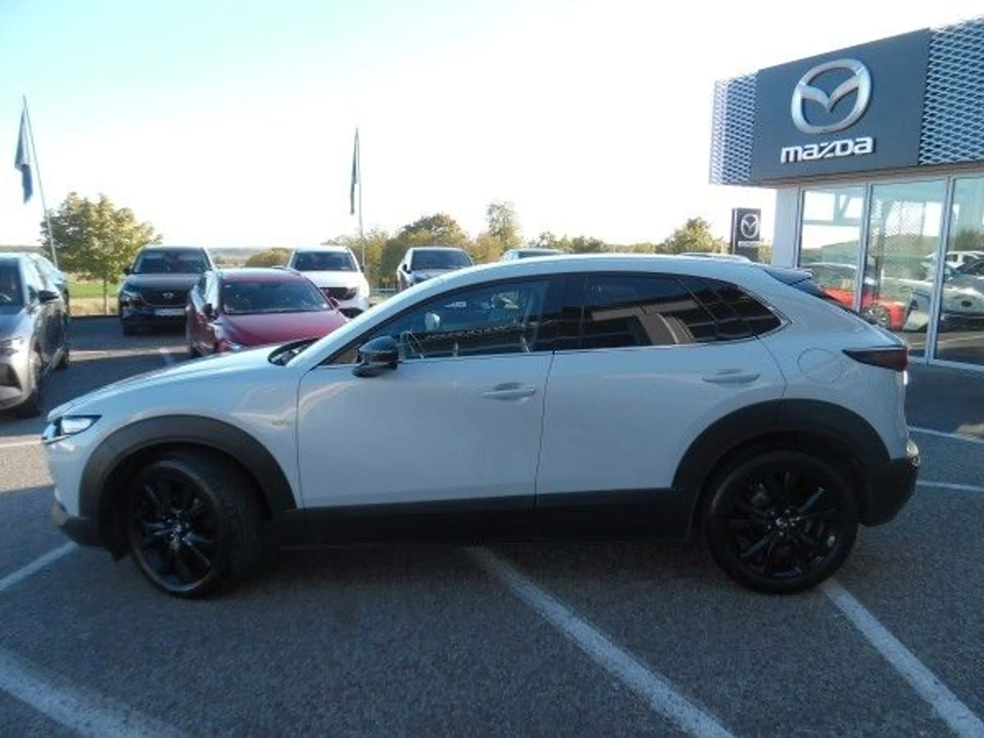Mazda CX-30 e-SKYACTIV-G M-Hybrid 150 Homura A — photo 2