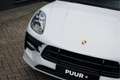 Porsche Macan 2.9 GTS Kreide 381 pk Panoramadak - Bose - BTW-aut Grau - thumbnail 18