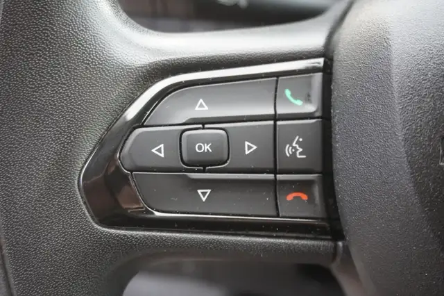 Fiat Ducato view 12