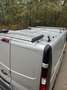 Renault Trafic Verkocht Verkocht Verkocht Argent - thumbnail 13