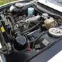 Peugeot 504 cabriolet 2 litre injection premiere série Bianco - thumbnail 15