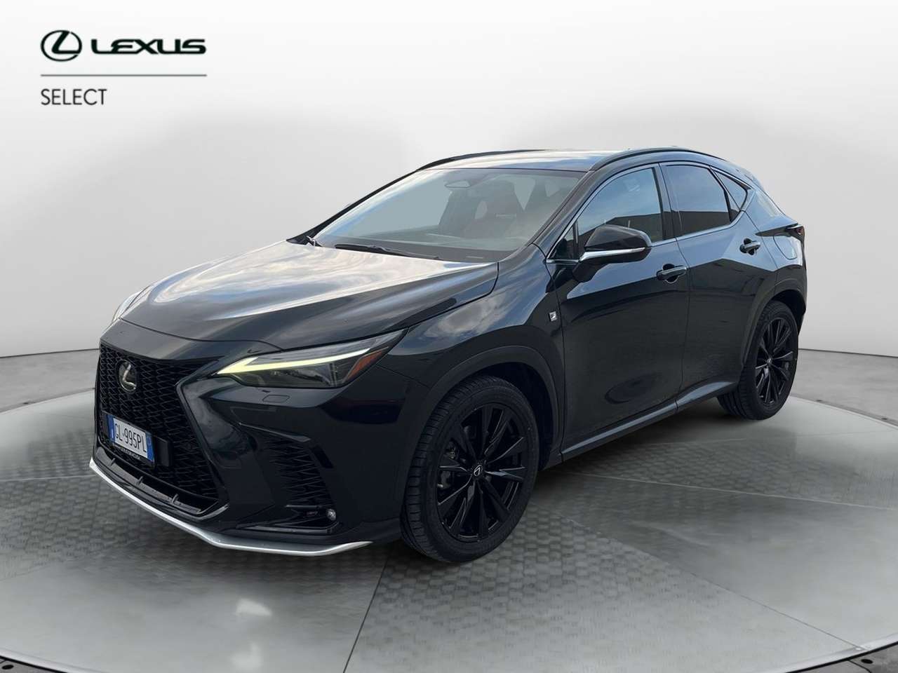 Lexus NX 300 NX Plug-in 4WD F-Sport