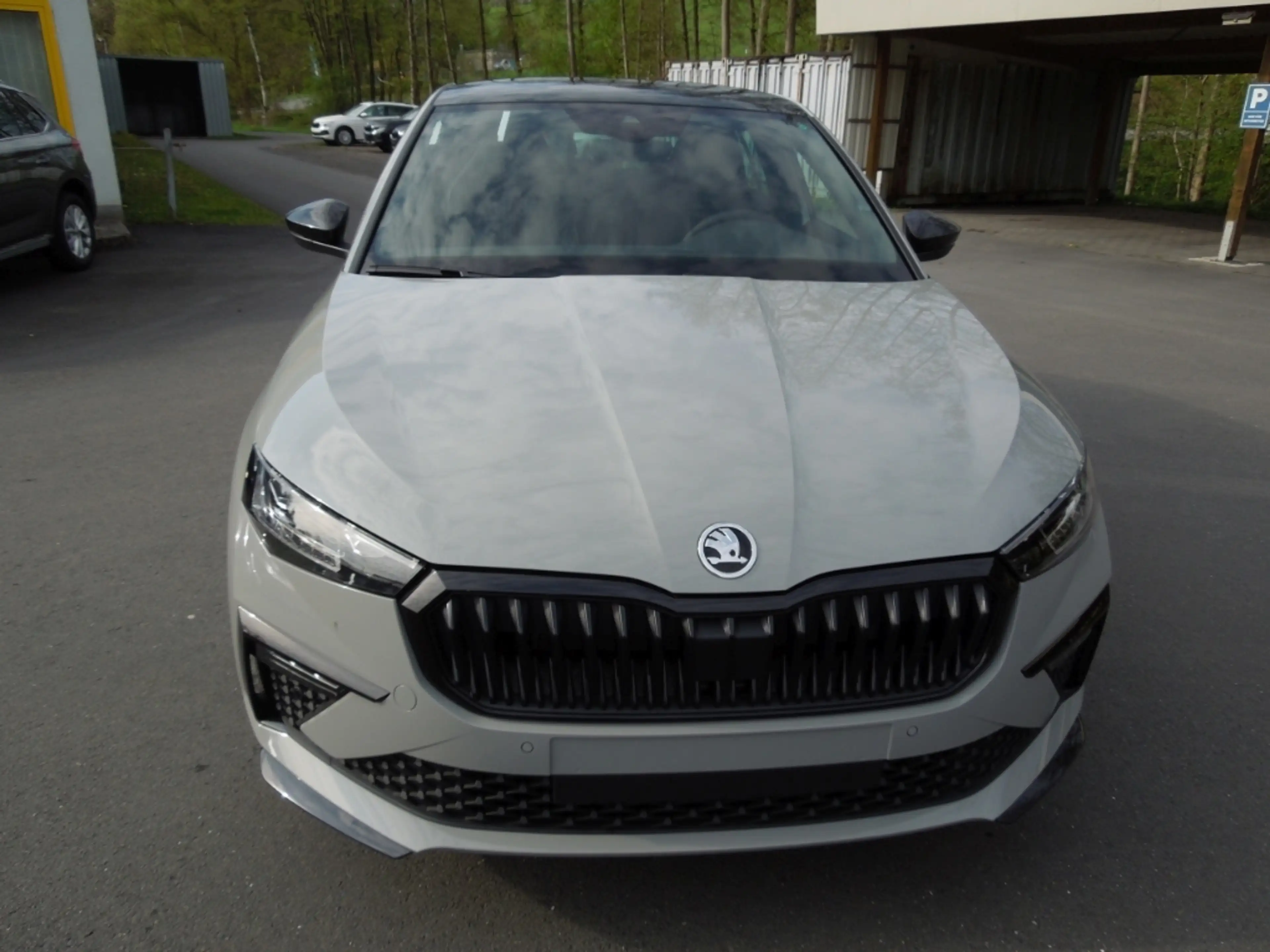 Skoda Scala 1.0TSI Monte-Carlo/Matrix/Panoramadach/Sitzheizung — photo 2