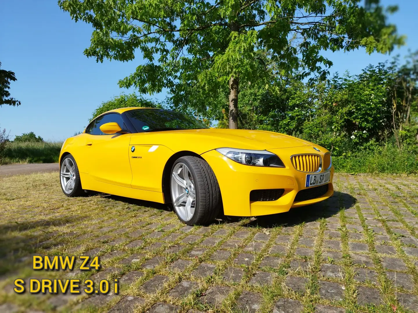BMW Z4 sDrive30i Žlutá - 1