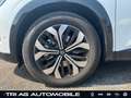 Renault Austral Techno E-Tech Full Hybrid 200 eletr.Hckk Bianco - thumbnail 13