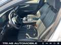 Renault Austral Techno E-Tech Full Hybrid 200 eletr.Hckk Bianco - thumbnail 9