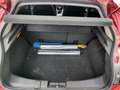 Fiat Bravo 1.6 16v Easy 105 CV Diesel Multijet Rojo - thumbnail 19