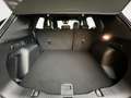 Ford Kuga 2,5L Hybrid **ST-Line X** Allrad Schwarz - thumbnail 21