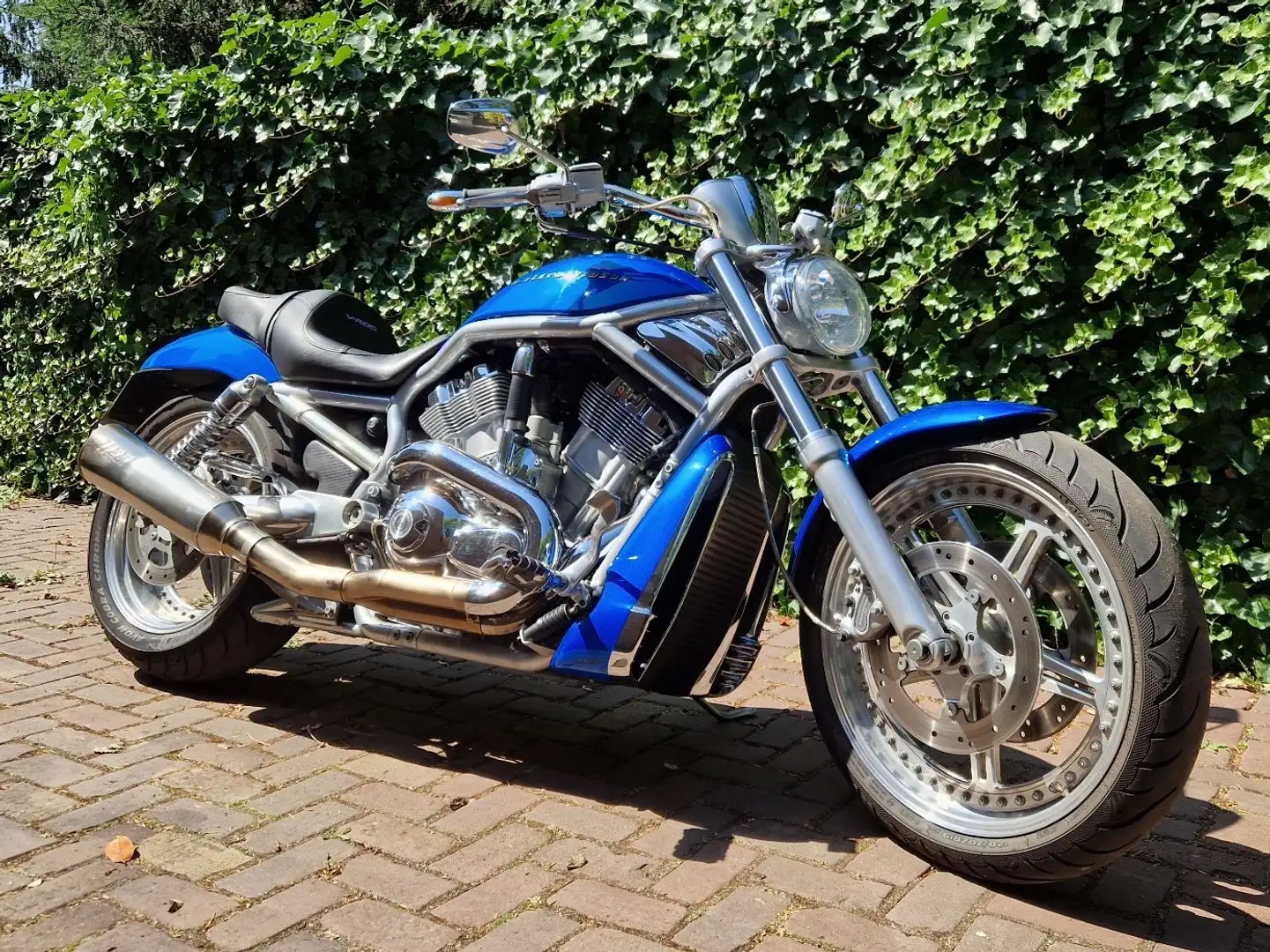 Harley-Davidson VRSC V-Rod Niebieski - 1