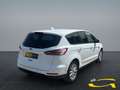 Ford S-Max Trend 2.0 EcoBlue EU6d AHK-klappbar Navi Apple Car Wit - thumbnail 14