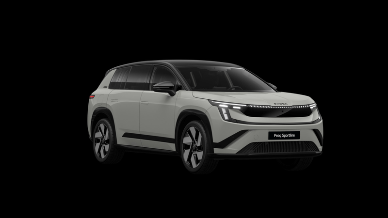 Skoda Peaq 90 286pk Sportline 7p. | Winter Pakket | Trekhaak — photo 9