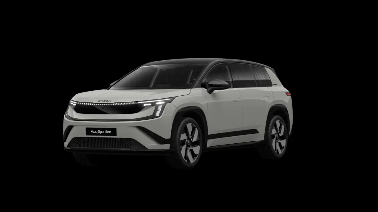 Skoda Peaq 2026 — фото 14