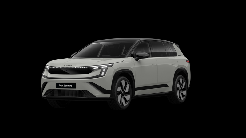 Skoda Peaq 90 286pk Sportline 7p. | Winter Pakket | Trekhaak — photo 14