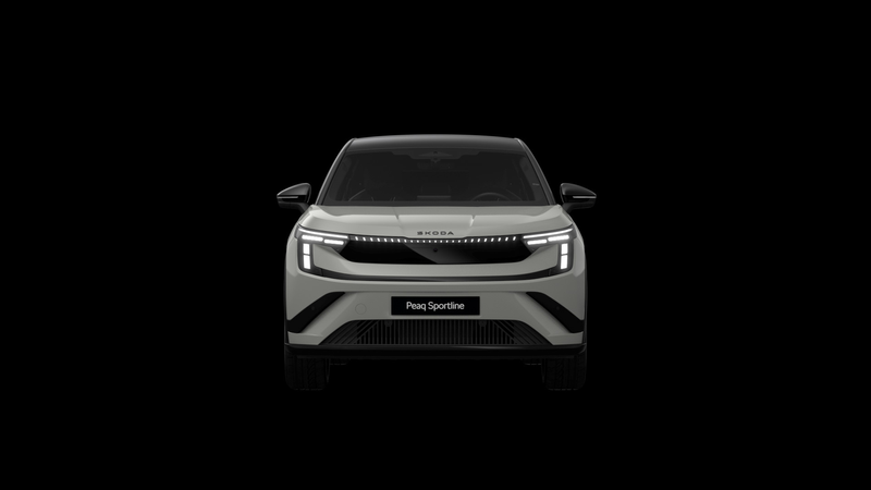 Skoda Peaq 90 286pk Sportline 7p. | Winter Pakket | Trekhaak — photo 8