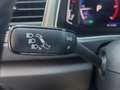 Volkswagen T-Roc 2.0 TDI 150 CV Automatica Business BlueMotion Tec Grigio - thumbnail 10