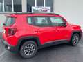 Jeep Renegade Renegade 1.6 mjt Longitude 2wd 120cv***12000KM*** Rosso - thumbnail 3