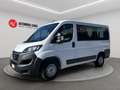 Fiat Ducato 33 2.2 Mjt 140CV PC-TN +IVA Bianco - thumbnail 1