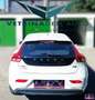 Volvo V40 D2 Powershift Summum Weiß - thumbnail 7