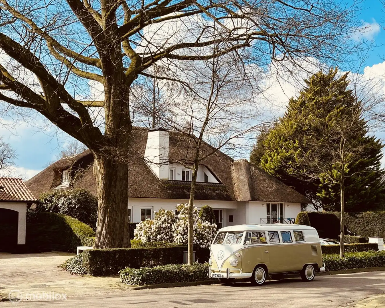 Volkswagen T1 T1 Spijlbus 8-persoons Zöld - 1