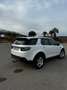 Land Rover Discovery Sport 2.0eD4 Pure 4x2 150 Fehér - thumbnail 4