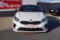 Kia ProCeed / pro_cee'd ProCeed 1.6 T-GDI GT LED Navi ACC Totwinkel DAB Weiß - thumbnail 7