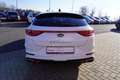 Kia ProCeed / pro_cee'd ProCeed 1.6 T-GDI GT LED Navi ACC Totwinkel DAB Weiß - thumbnail 4