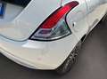 Lancia Ypsilon 1.0 firefly hybrid Platino s&s 70cv - KM 0 Bianco - thumbnail 13